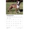 BrownTrout; For the Love of American Pit Bull Terriers | 2027 14 x 24 Inch (Hanging) Monthly Deluxe Wall Calendar | Foil Stamped Cover | Plastic-Free; Category:Wall Calendars; Image:5